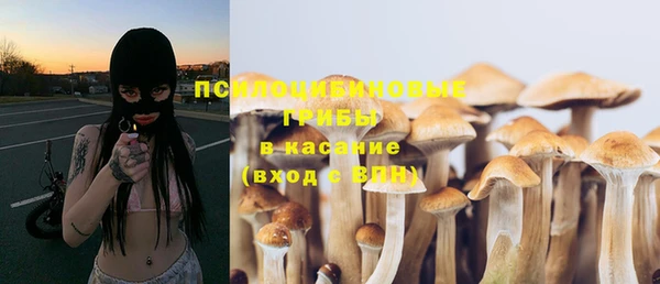 мдпв Иннополис