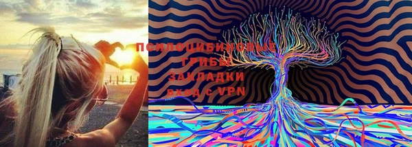 не бодяженный Инта