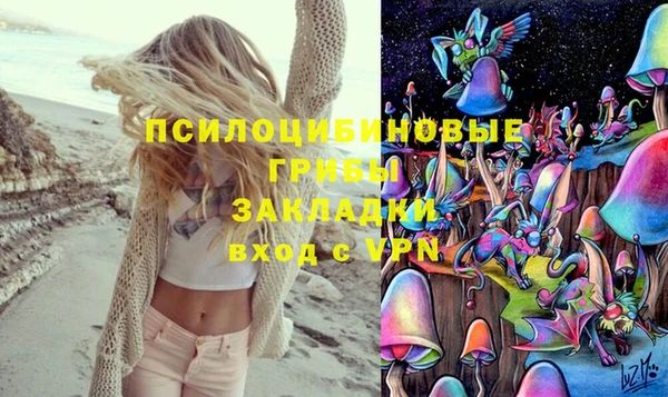 не бодяженный Инта