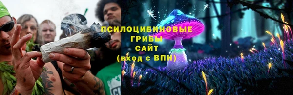 мдпв Иннополис