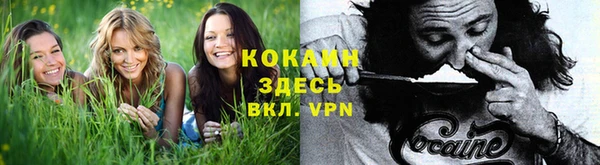 не бодяженный Инта