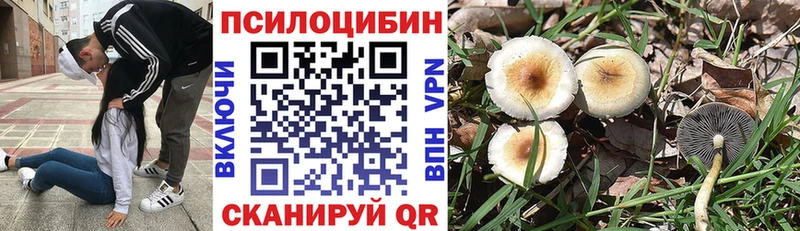 Галлюциногенные грибы MAGIC MUSHROOMS  гидра маркетплейс  Нестеров 